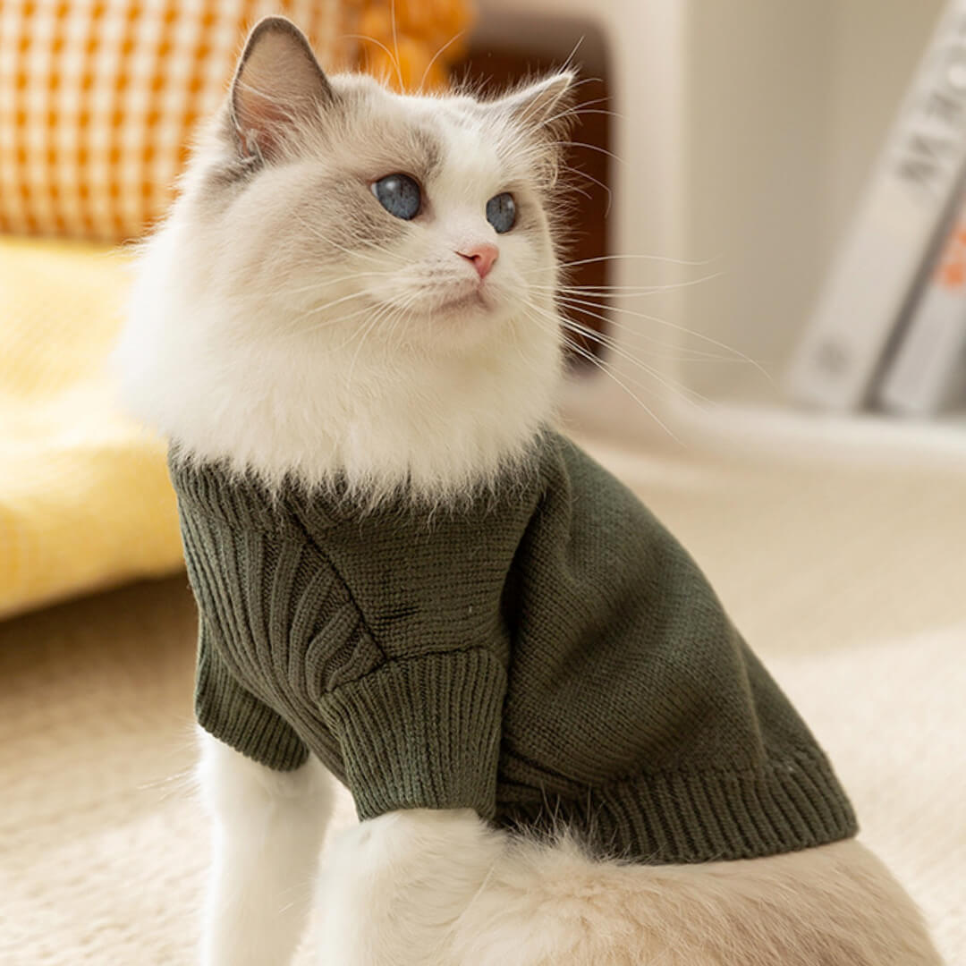 Dino Cat Sweater