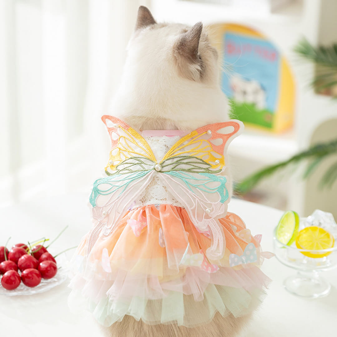 Fairy Cat Dress