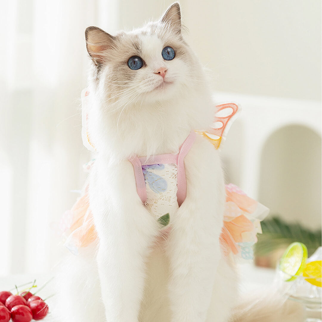 Fairy Cat Dress