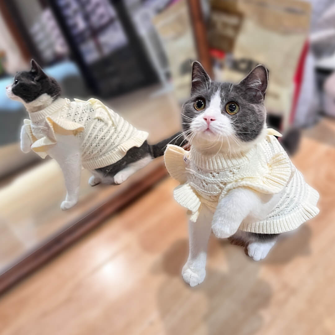 Fleur Cat Dress