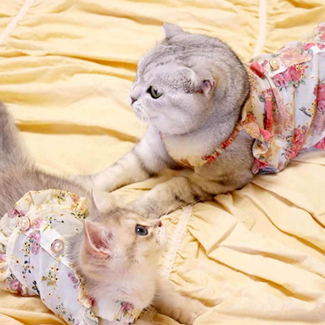 Flora Cat Dress
