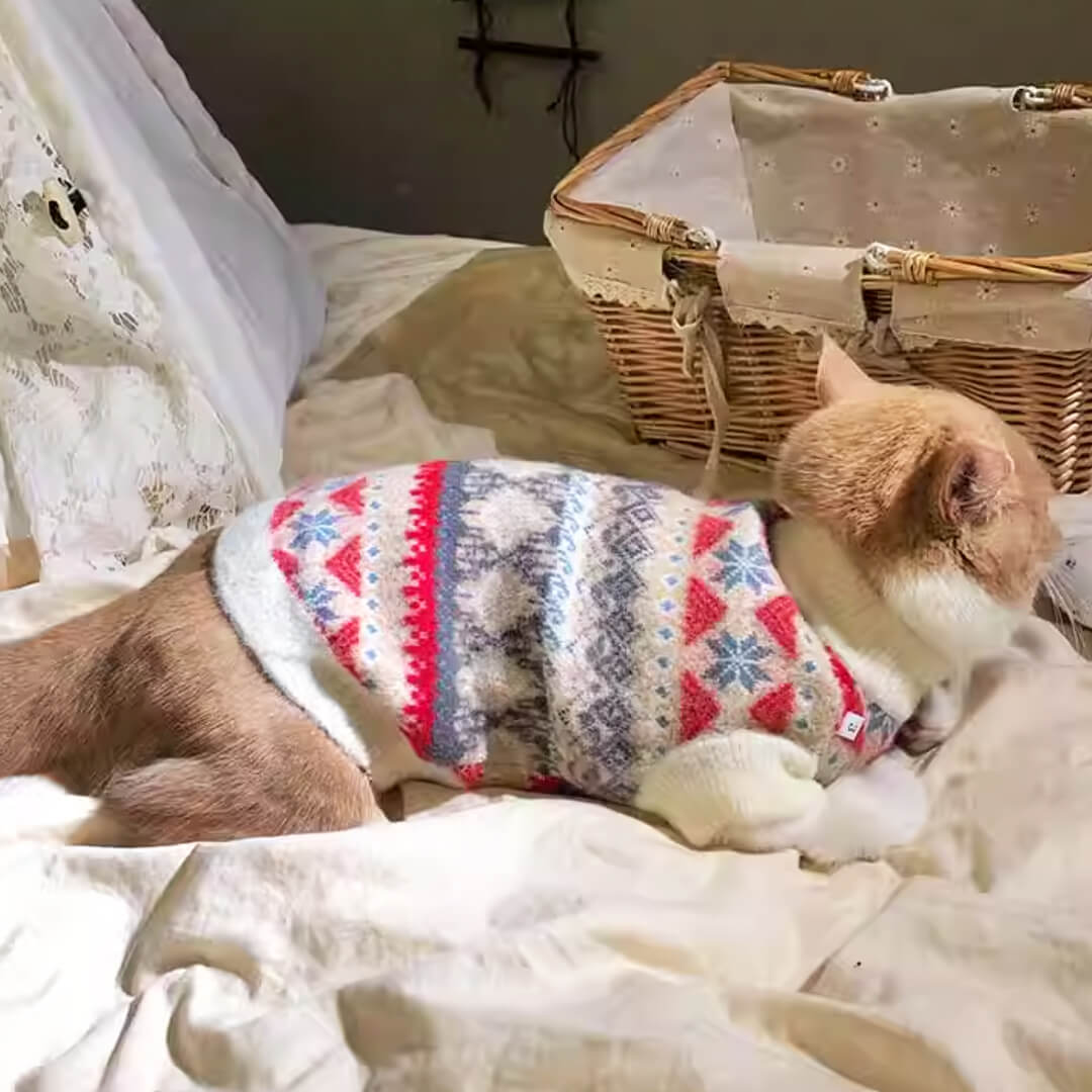 Frosty Cat Sweater