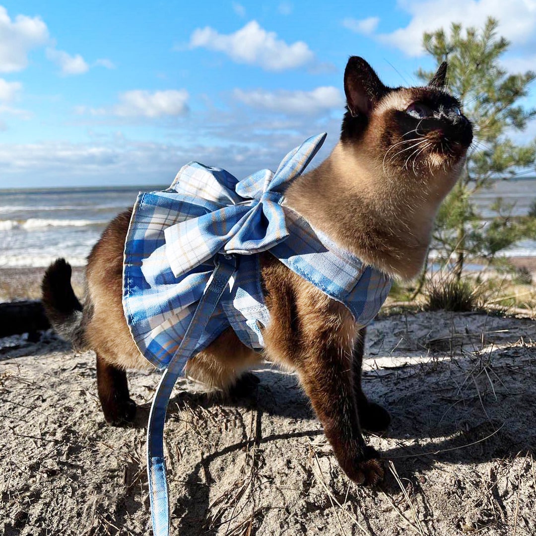 Fuji Cat Harness & Leash Set