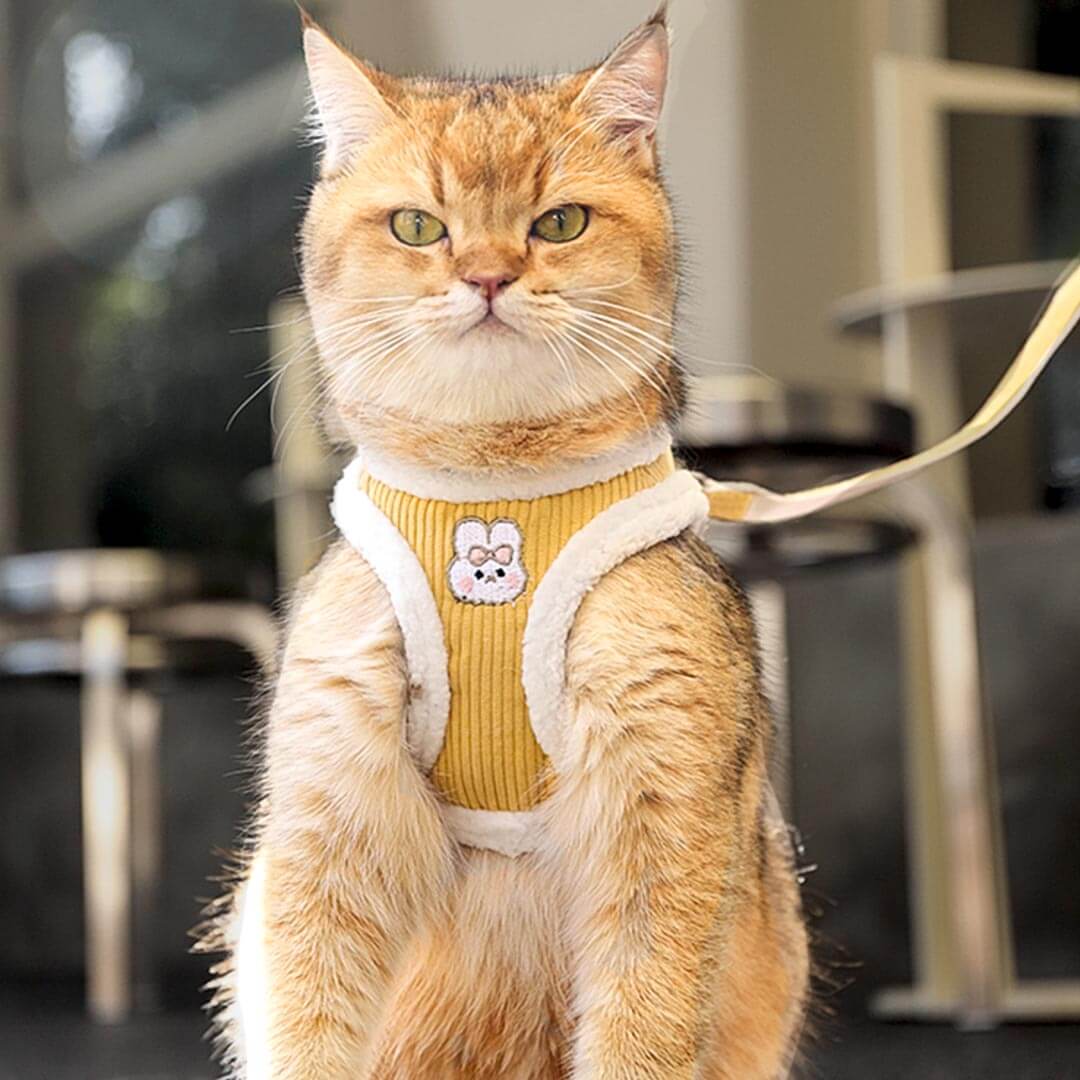Fuzzball Cat Harness & Leash Set