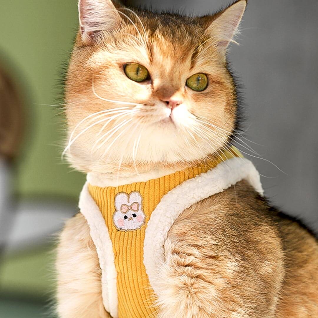 Fuzzball Cat Harness & Leash Set