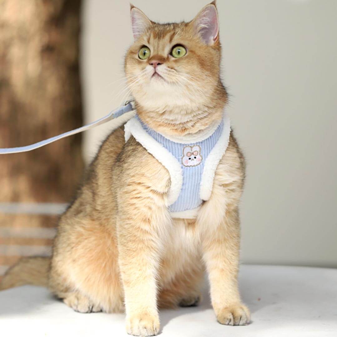Fuzzball Cat Harness & Leash Set