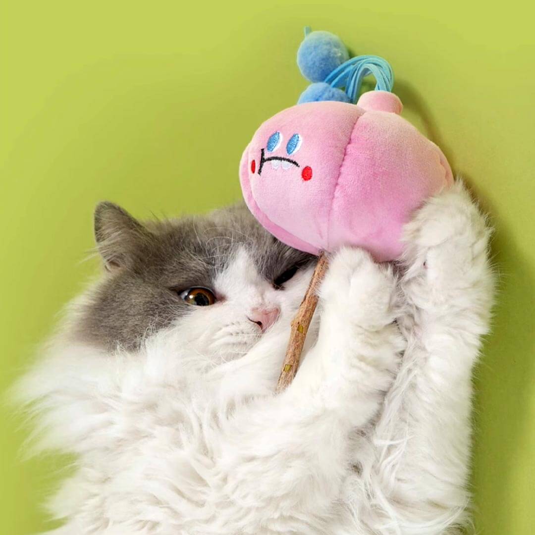 Garlicky Silvervine Cat Chew Toy