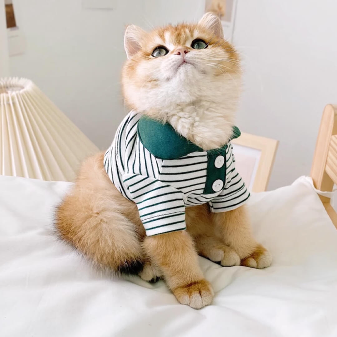 Gentlemeow Cat Polo Shirt