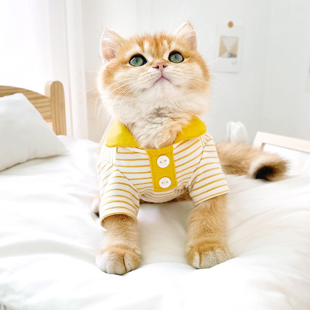 Gentlemeow Cat Polo Shirt