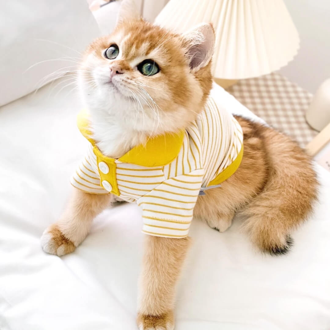 Gentlemeow Cat Polo Shirt