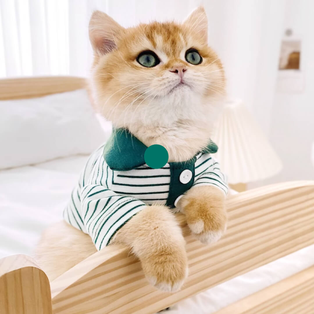 Gentlemeow Cat Polo Shirt