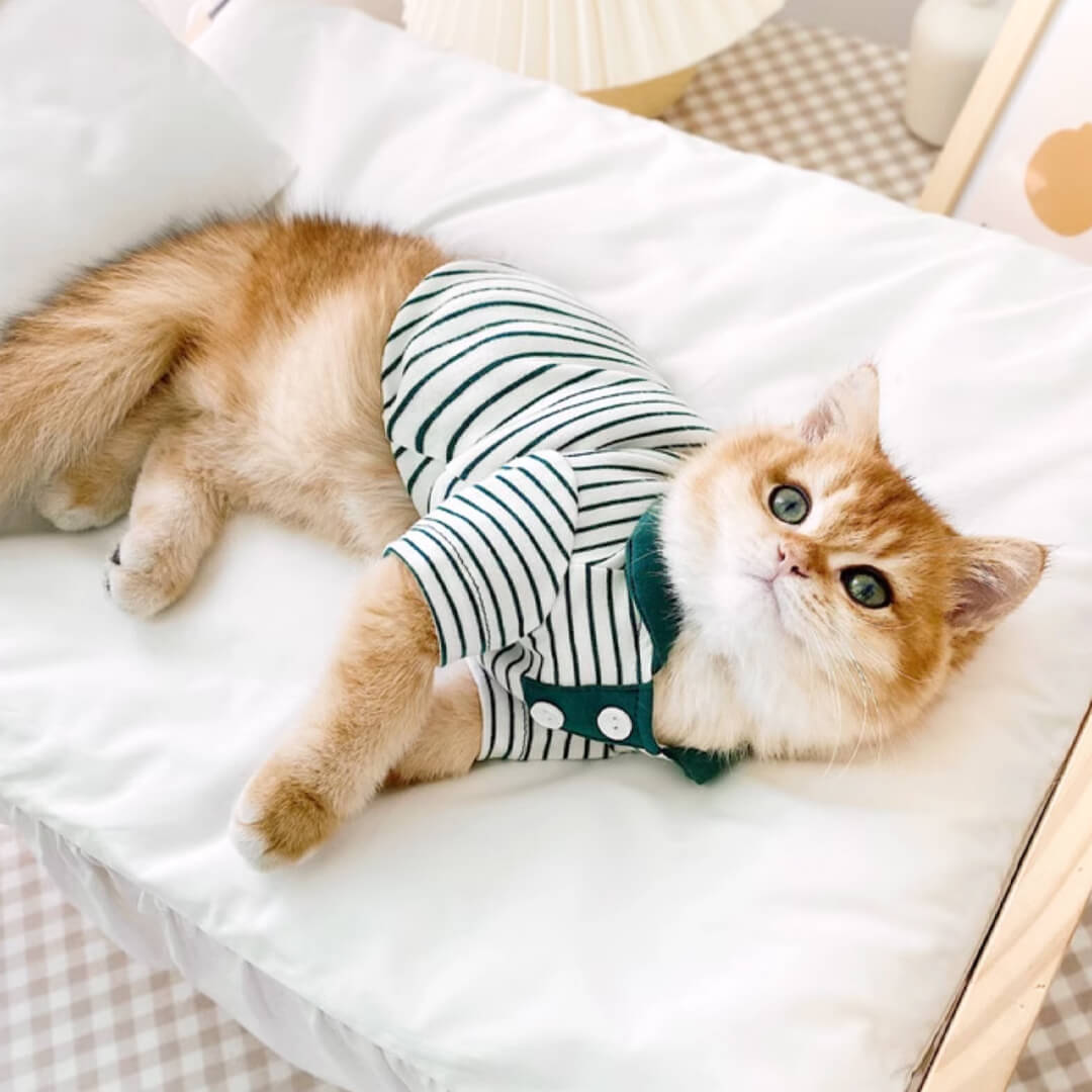 Gentlemeow Cat Polo Shirt