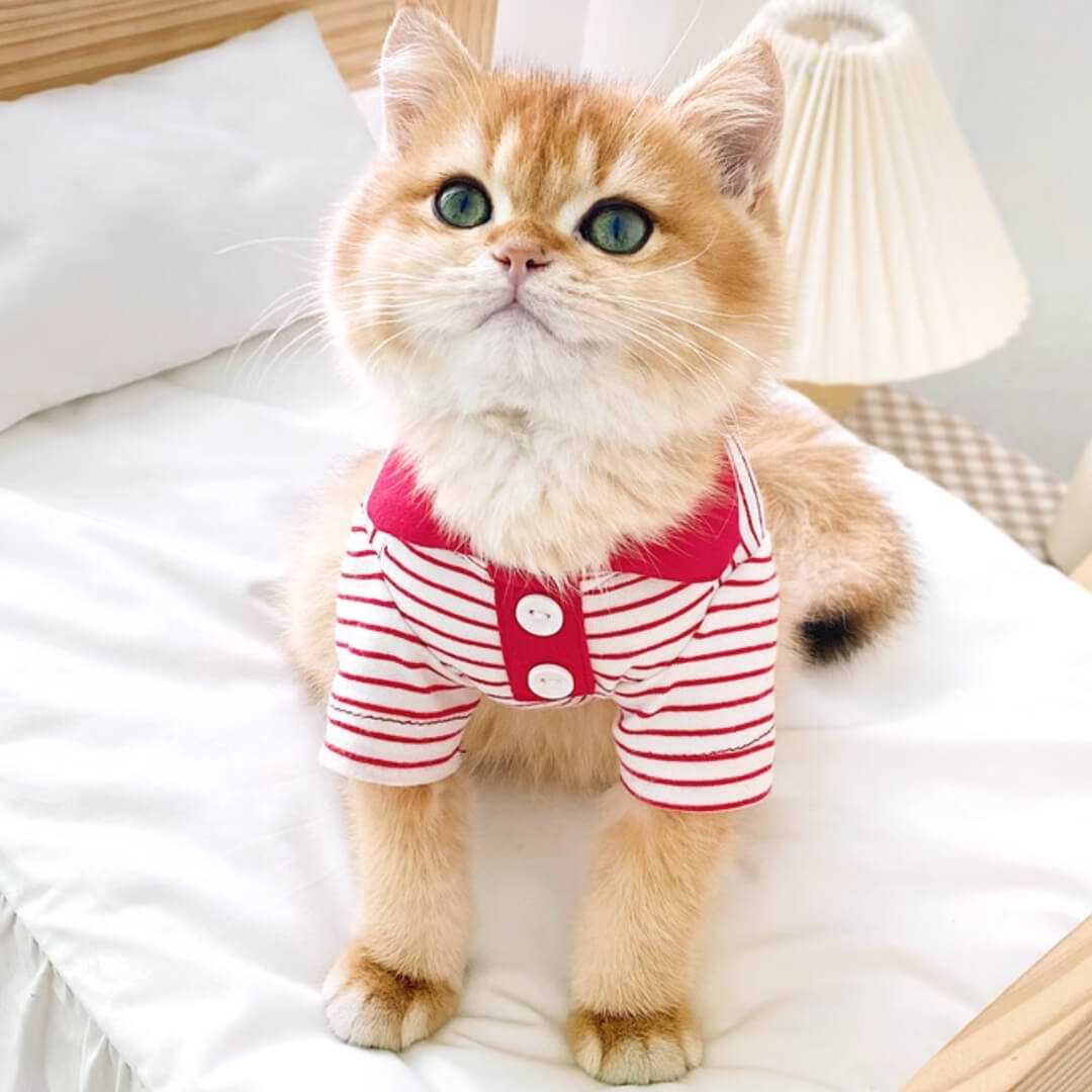 Gentlemeow Cat Polo Shirt