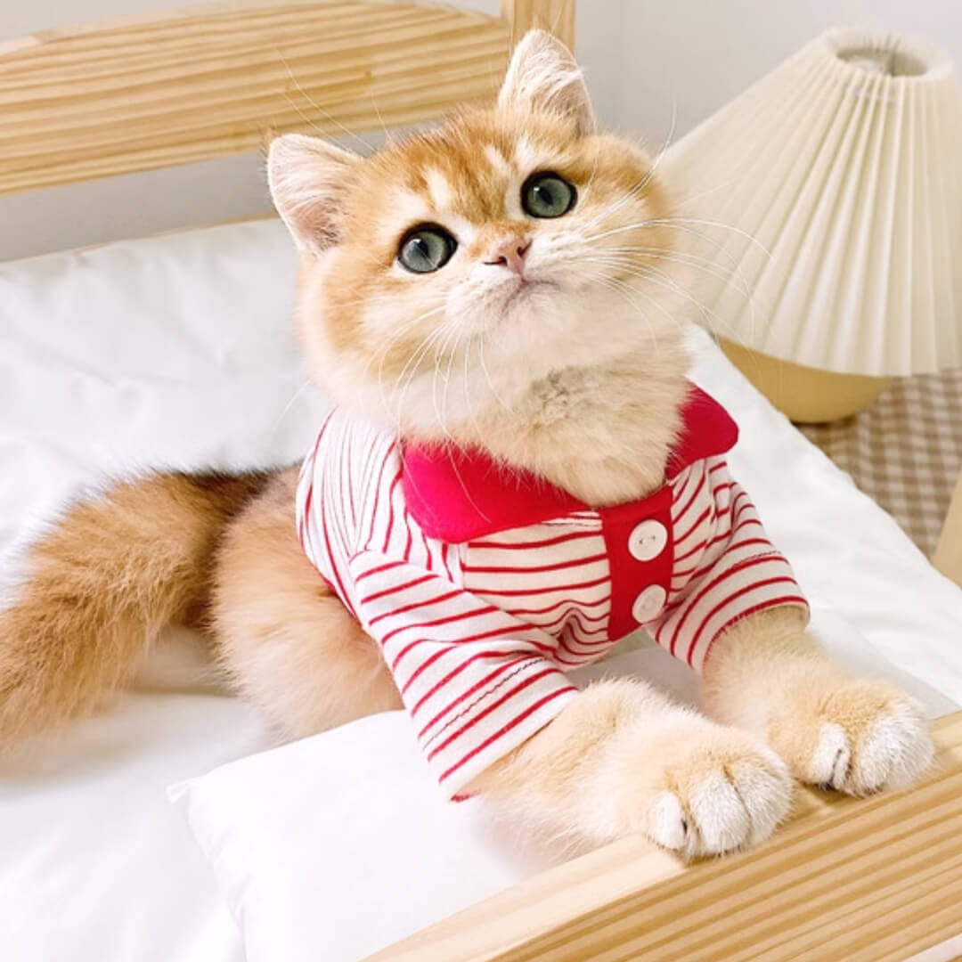 Gentlemeow Cat Polo Shirt