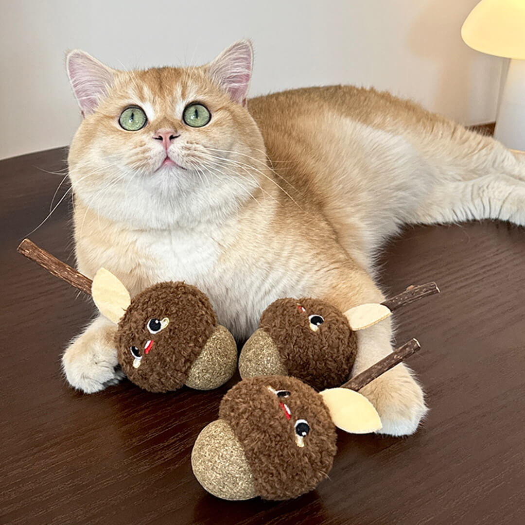 Hazelnut Silvervine Cat Chew Toy