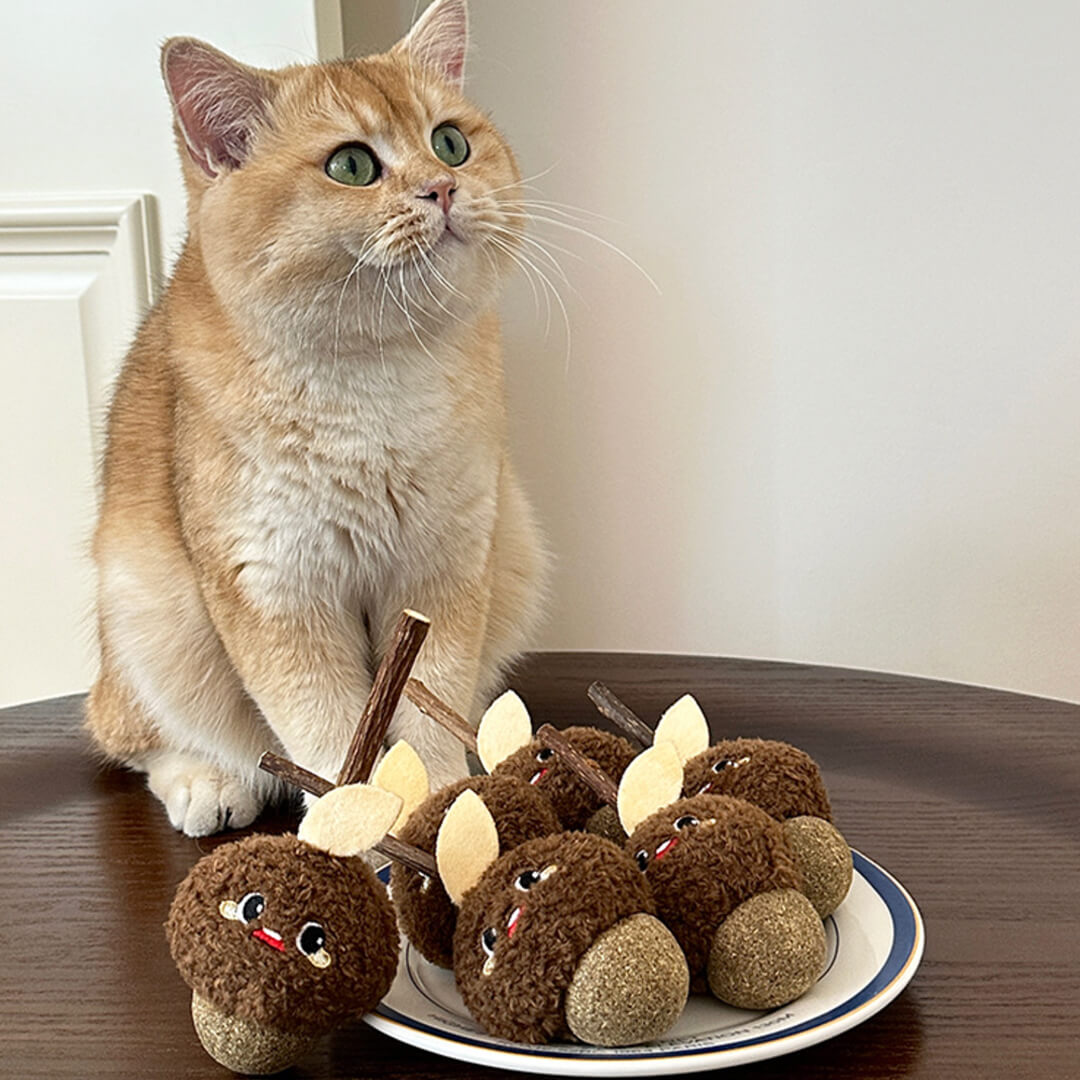 Hazelnut Silvervine Cat Chew Toy