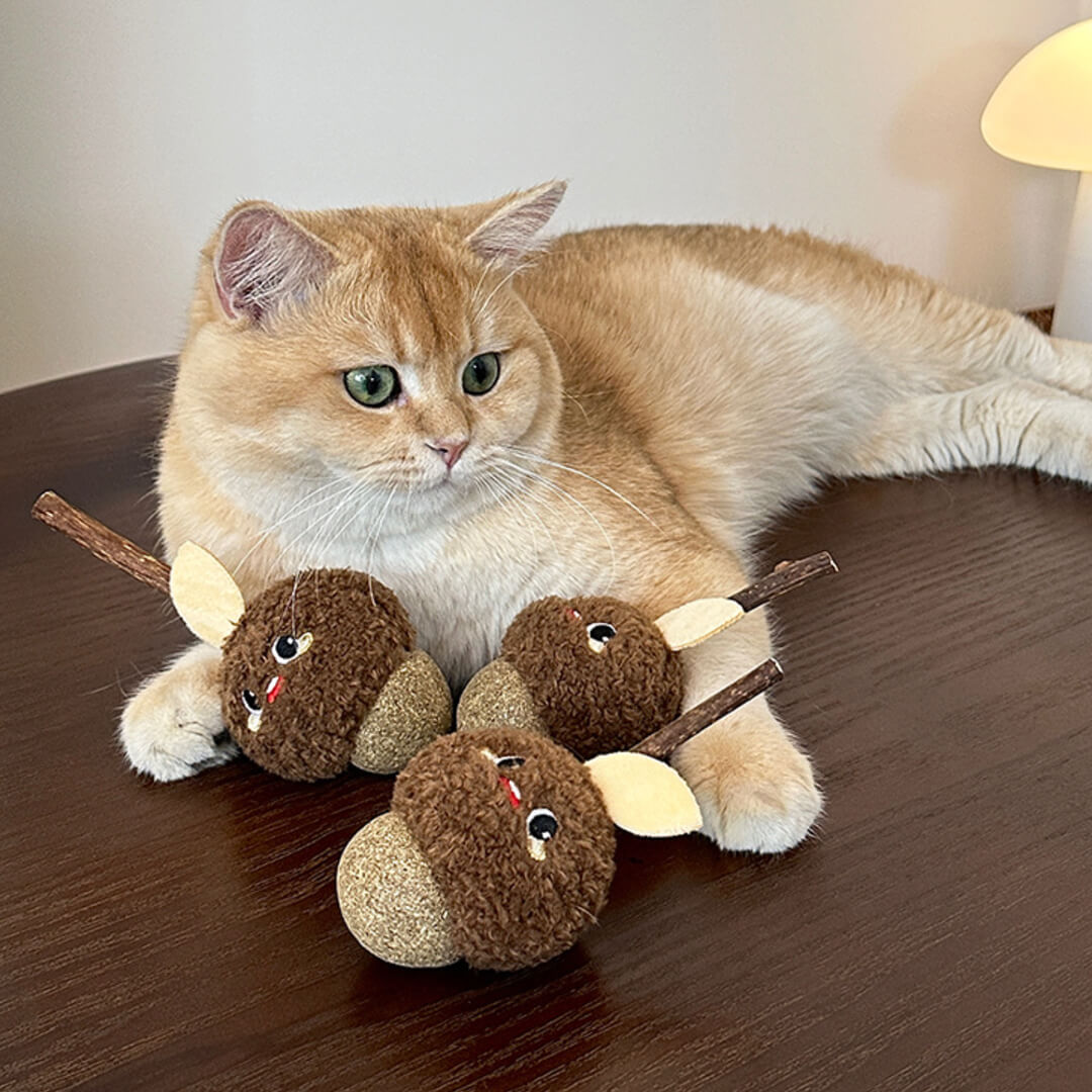 Hazelnut Silvervine Cat Chew Toy