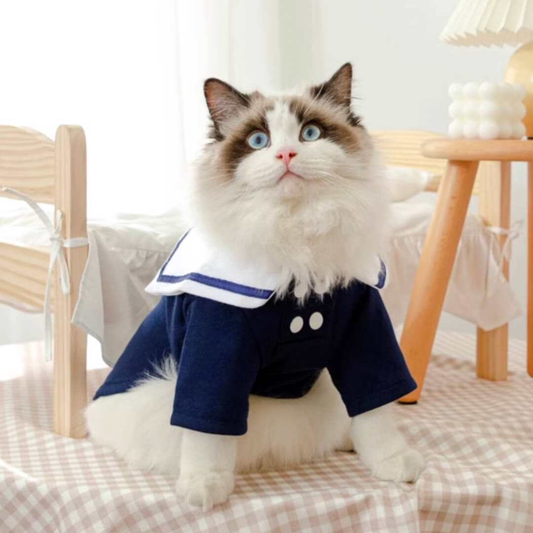 Hime Cat Shirt