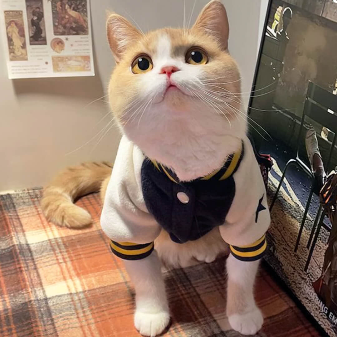 Hypurr Cat Bomber Jacket