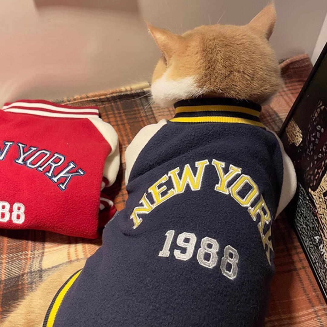 Hypurr Cat Bomber Jacket