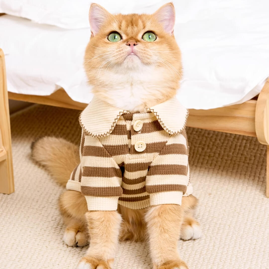 Hypurr Cat Shirt