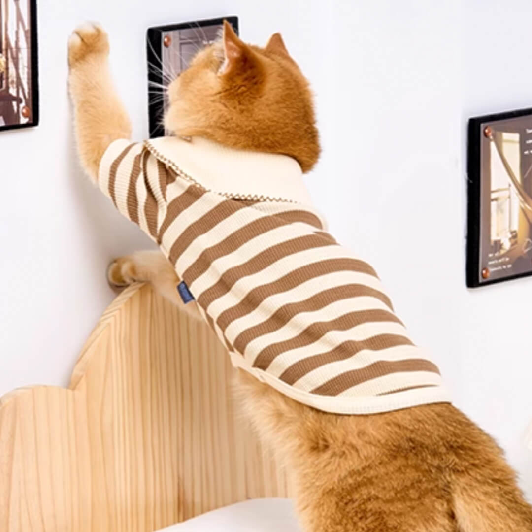Hypurr Cat Shirt