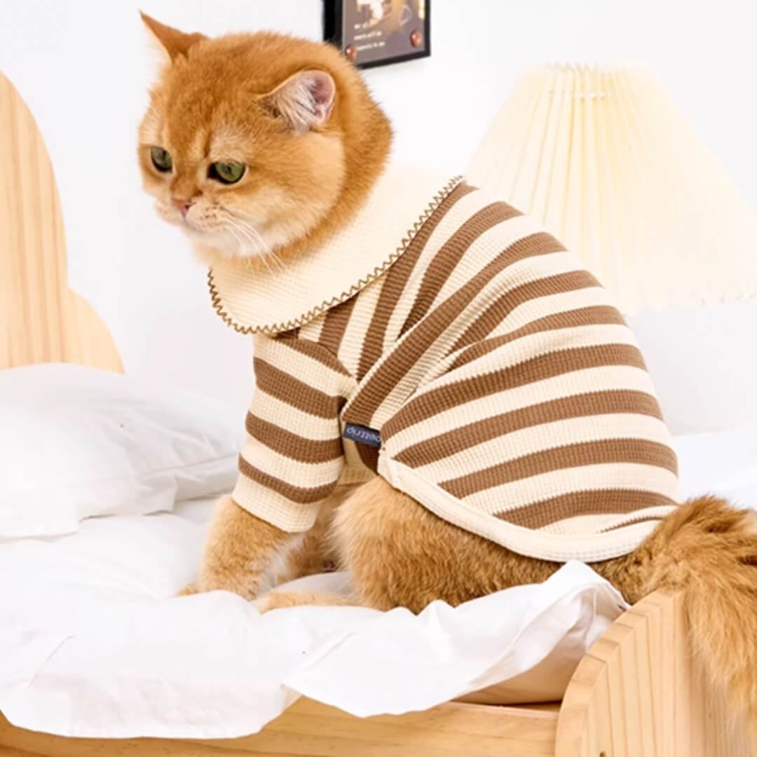 Hypurr Cat Shirt