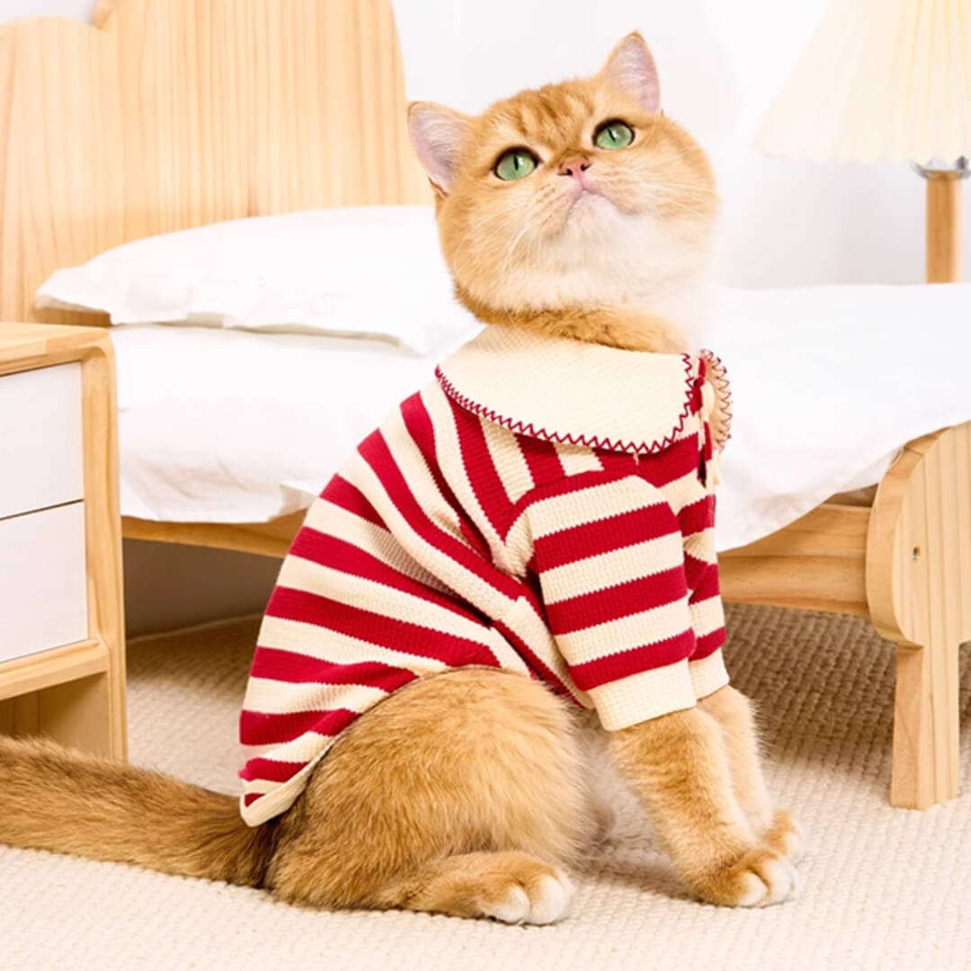 Hypurr Cat Shirt