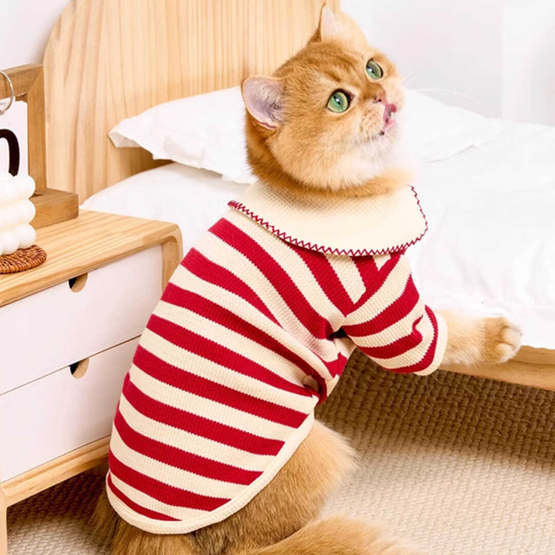 Hypurr Cat Shirt