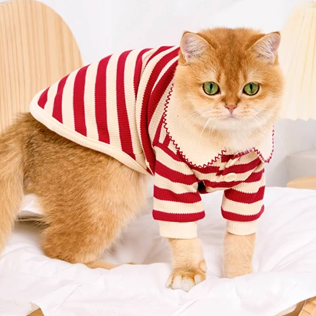 Hypurr Cat Shirt