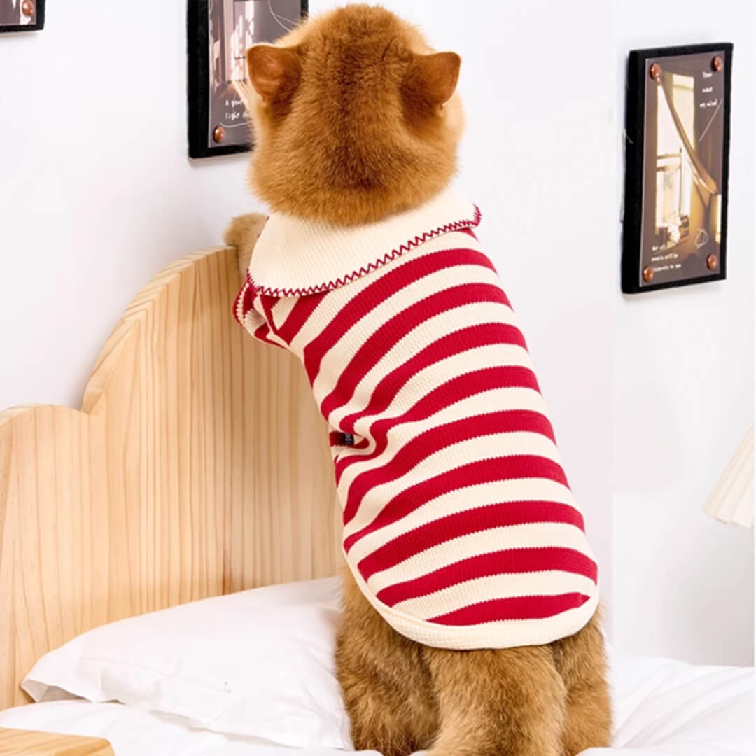 Hypurr Cat Shirt