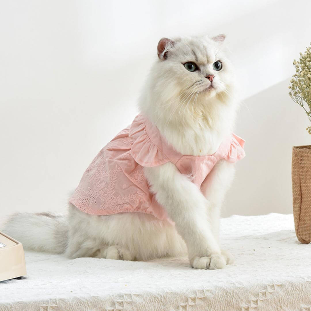 Jasmine Cat Dress