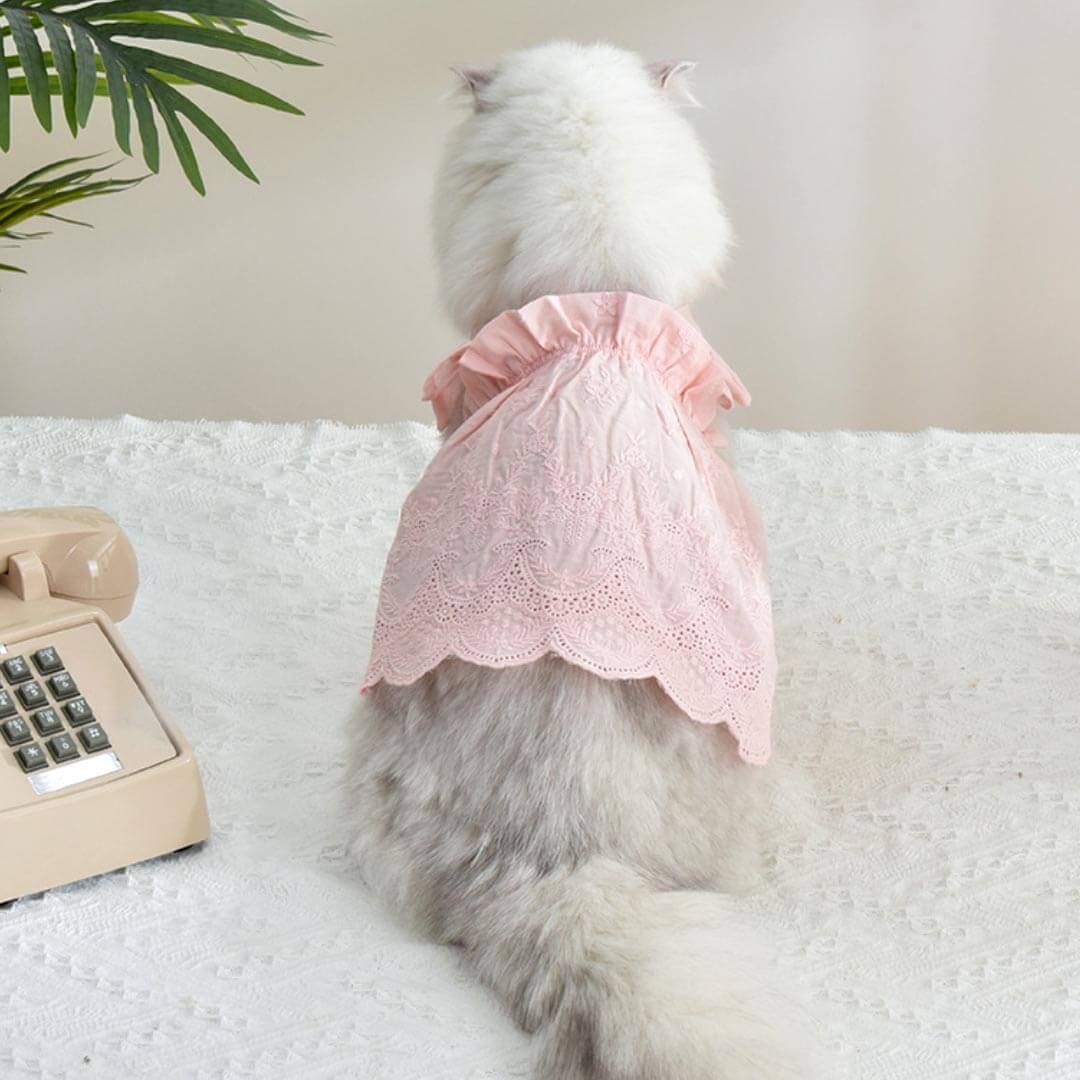 Jasmine Cat Dress