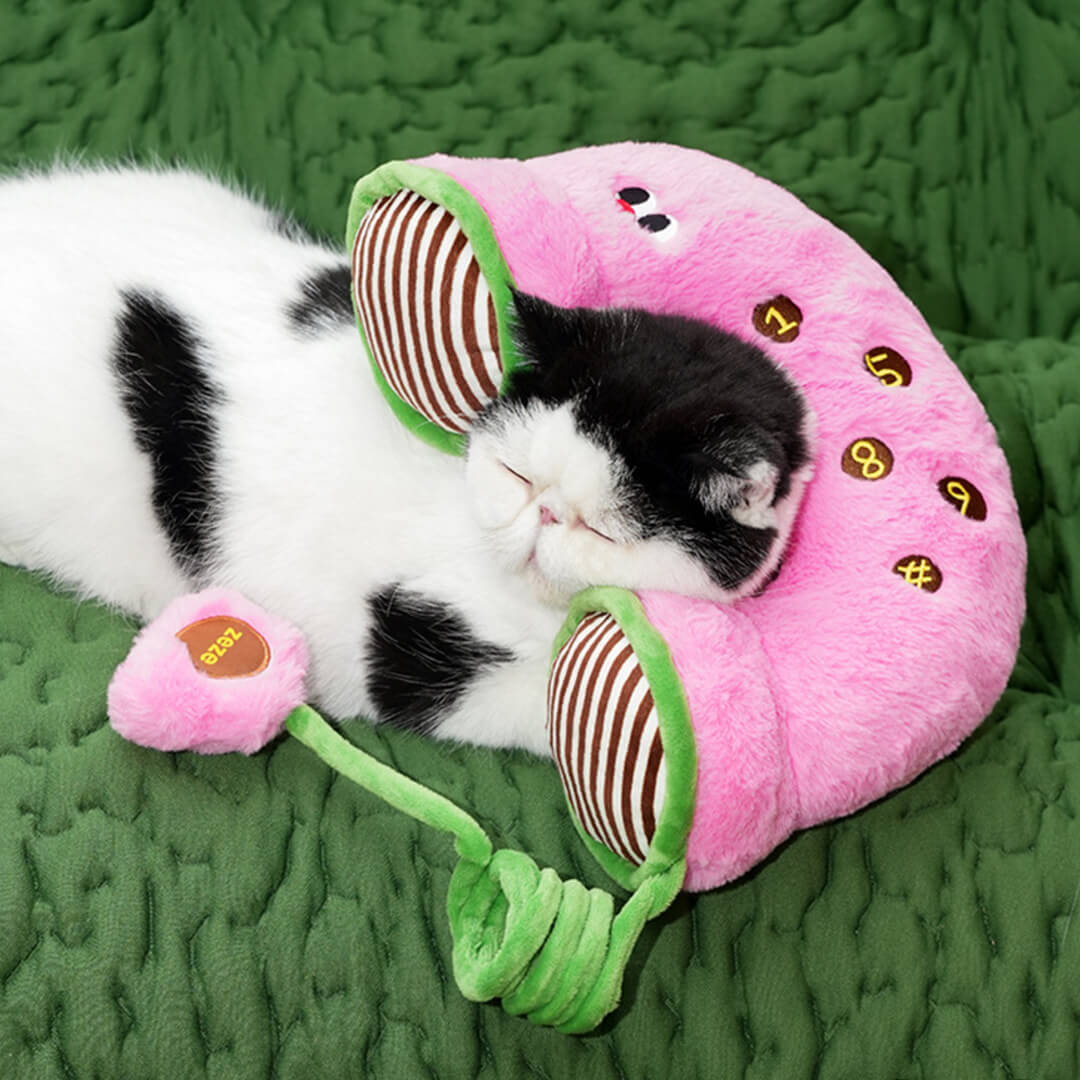 Kitty Hotline Plush Pillow Cat Toy