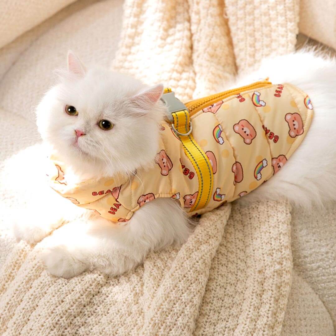 Little Bear Cat Jacket
