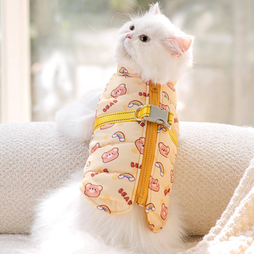 Little Bear Cat Jacket