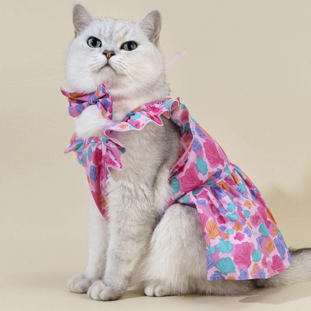 Little Princess Cat Dress & Bow Set