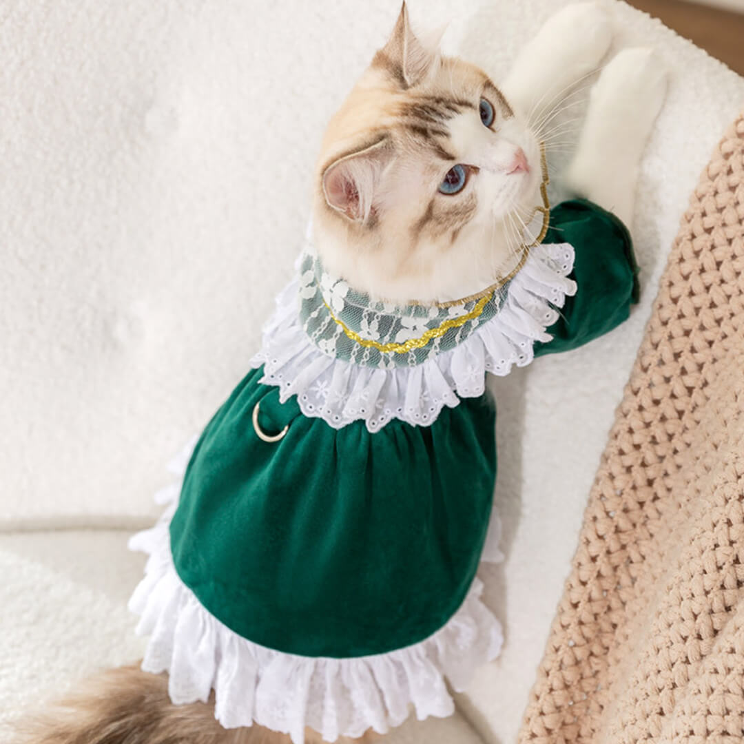 Little Princess Cat Dress