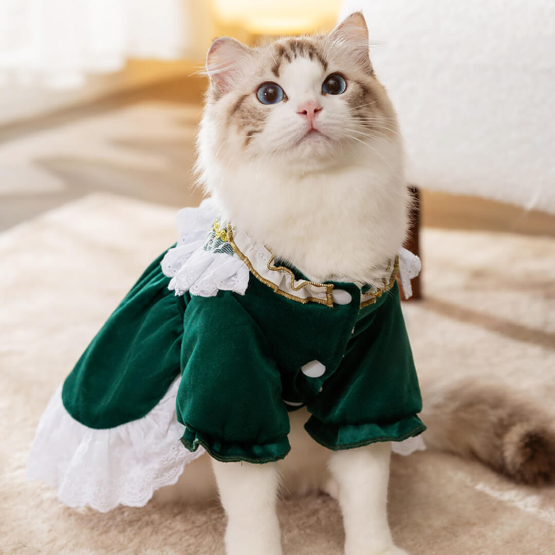 Little Princess Cat Dress