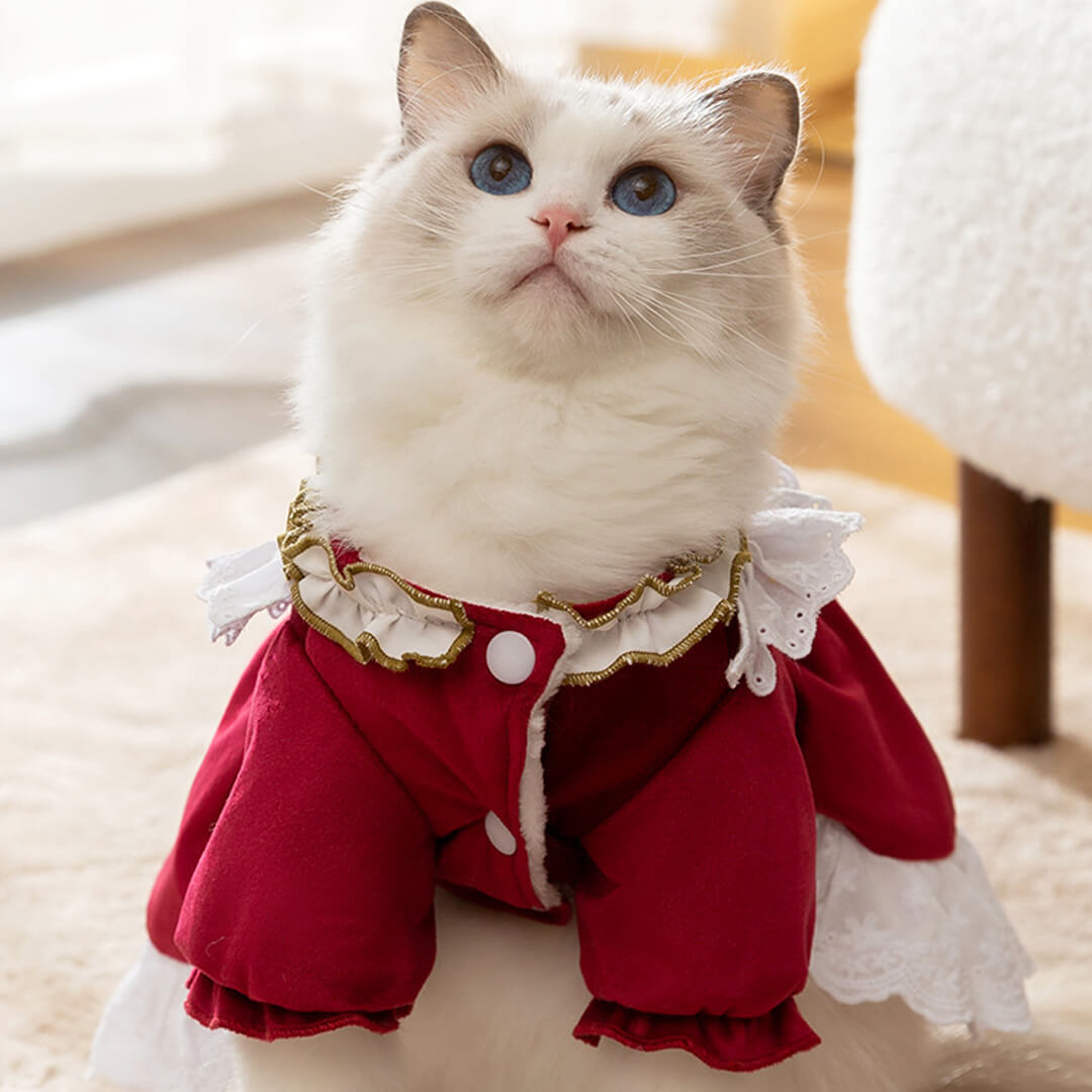 Little Princess Cat Dress