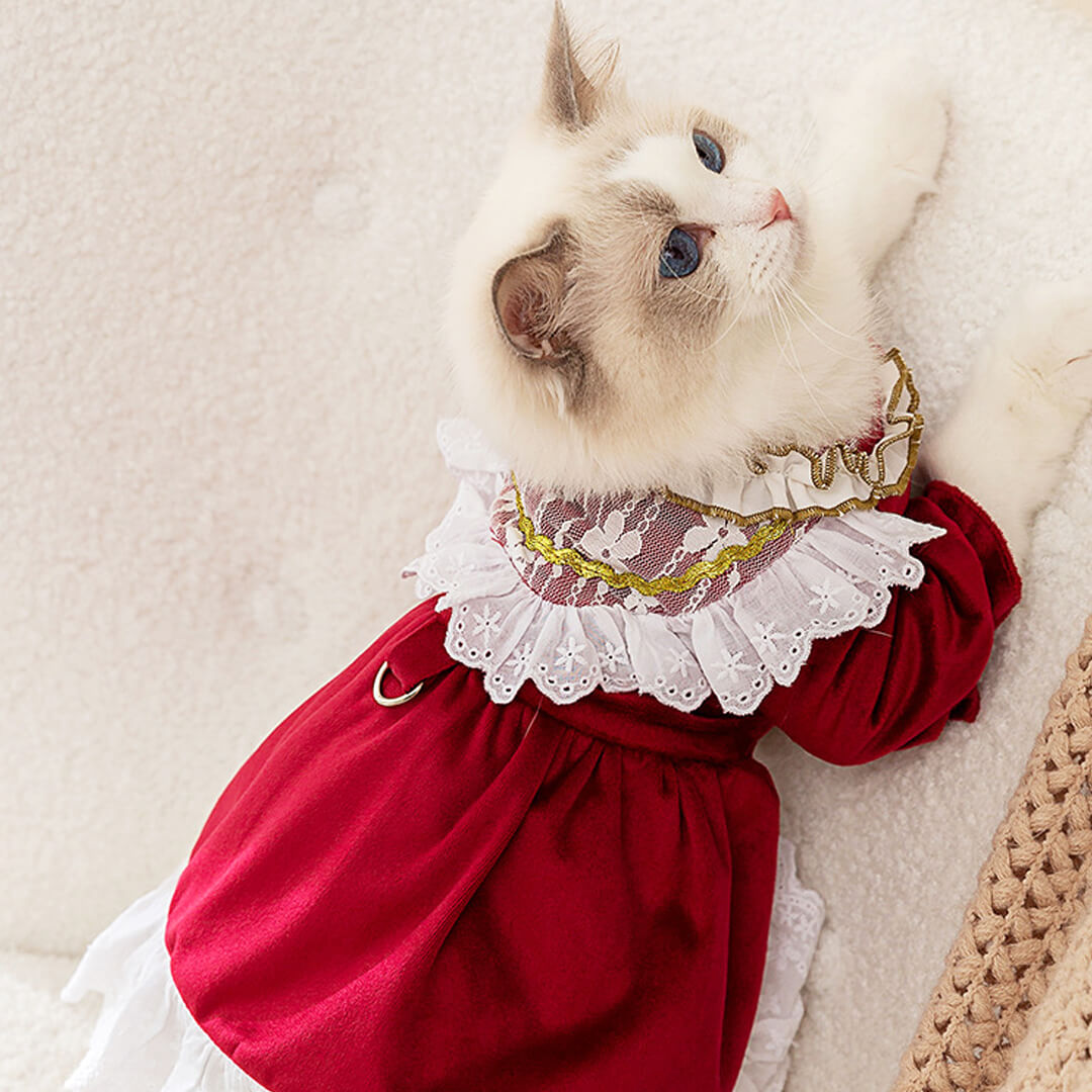 Little Princess Cat Dress