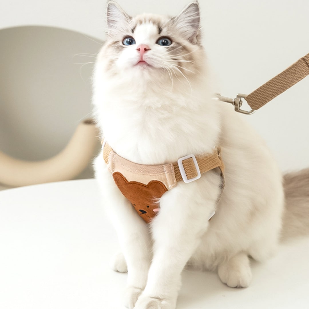 Lolly Cat Harness & Leash Set