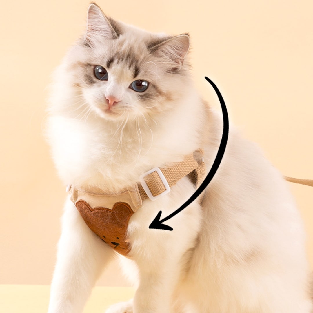 Lolly Cat Harness & Leash Set