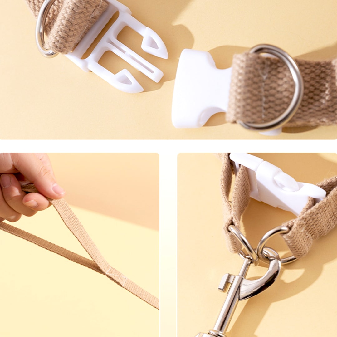 Lolly Cat Harness & Leash Set