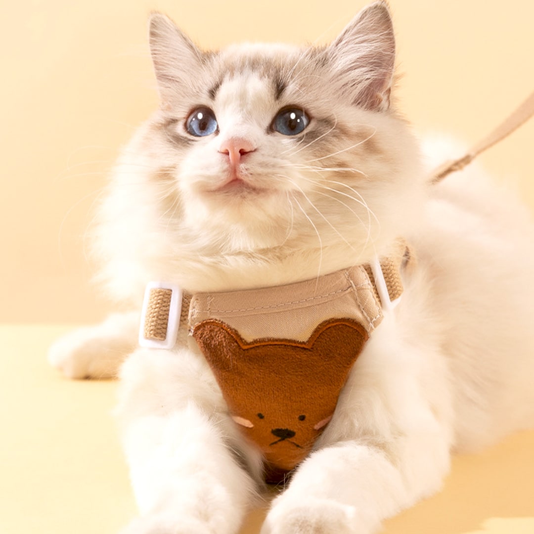 Lolly Cat Harness & Leash Set