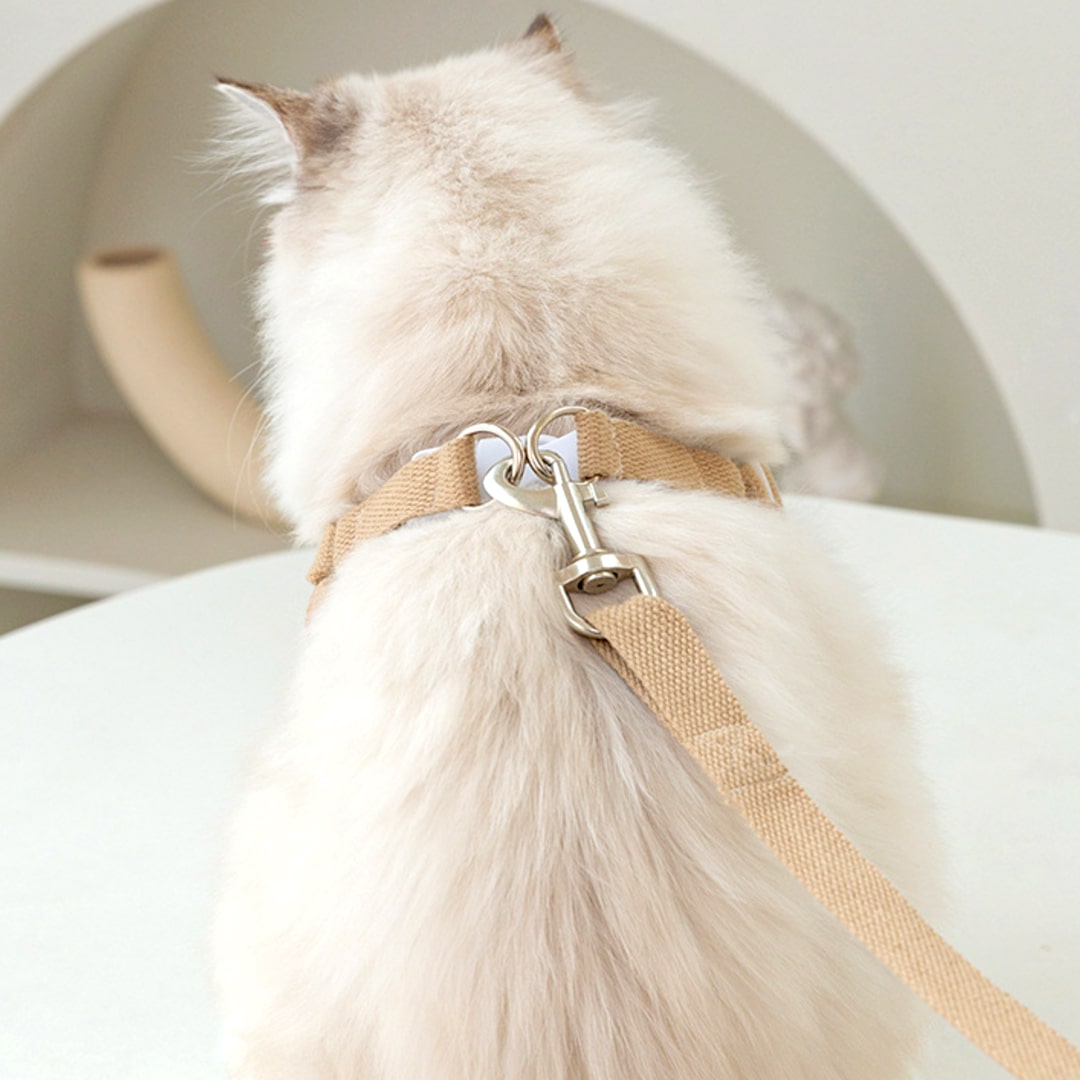 Lolly Cat Harness & Leash Set