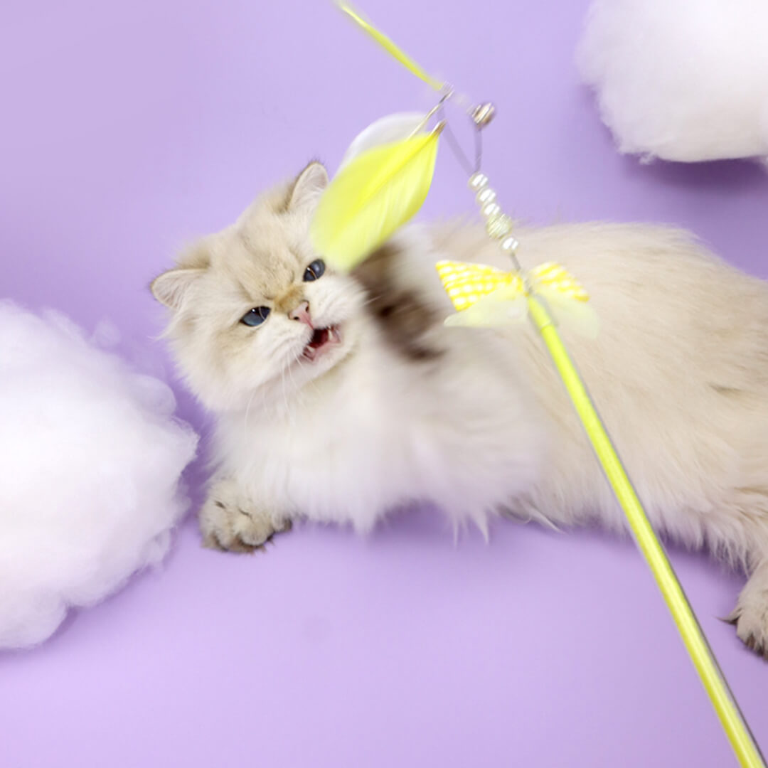 Lucky Star and Feather Ribbon Cat Wand Toys