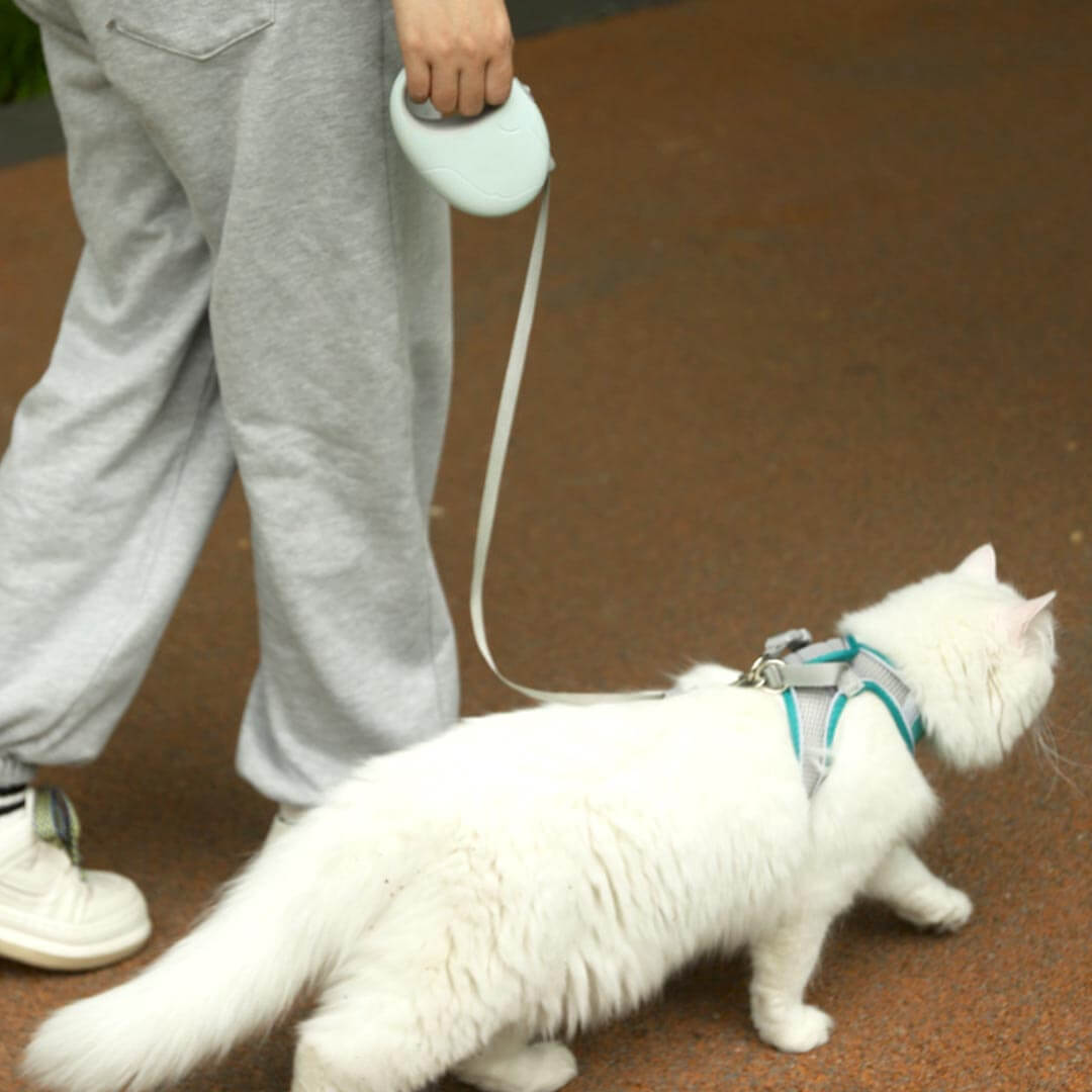 Luna Retractable Cat Leash