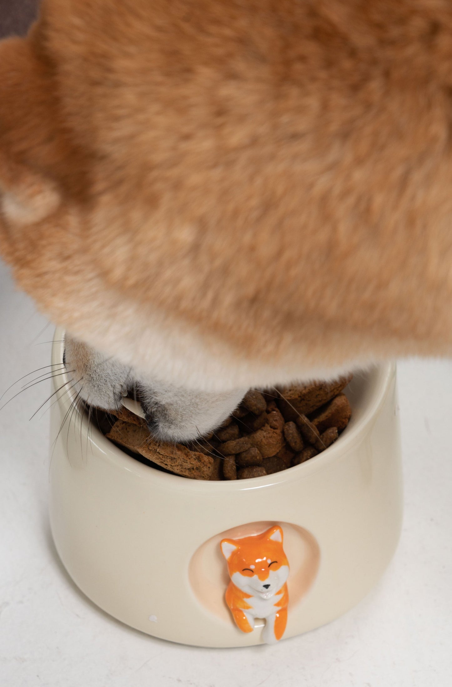 Shiba Inu Pet Bowl