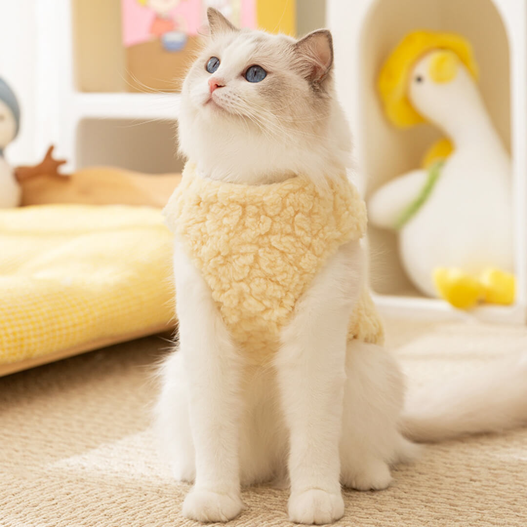 Meowster Cat Jacket